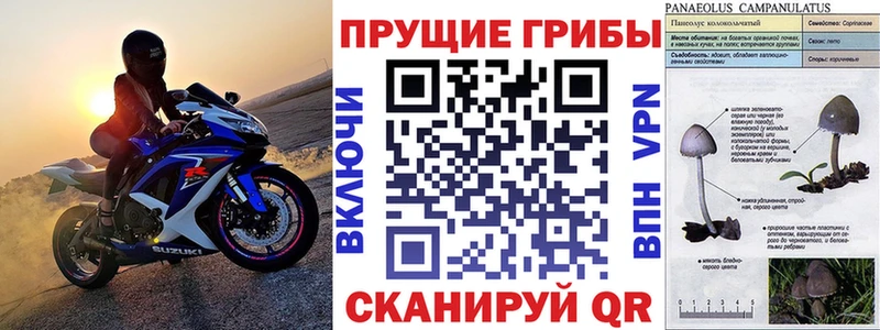 Галлюциногенные грибы Cubensis shop клад Соликамск блэк спрут вход
