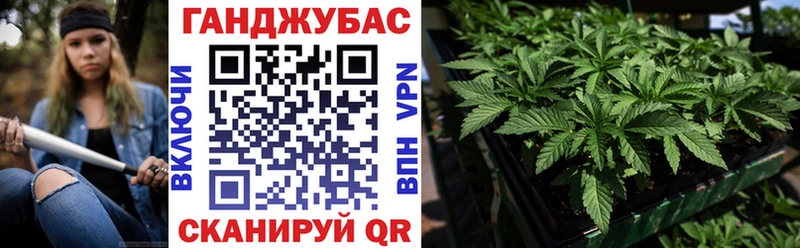 Конопля SATIVA & INDICA  магазин продажи   блэк спрут ССЫЛКА  Соликамск 